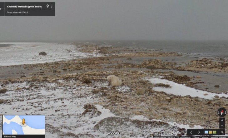Google conciencia del cambio climático con Street View